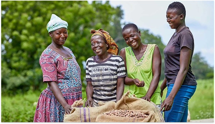 ourshea women holding shea nuts