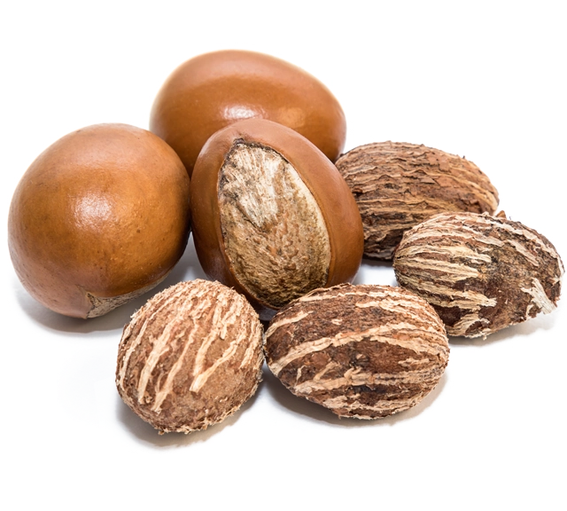 ourshea Ethically Sourced Shea Nuts